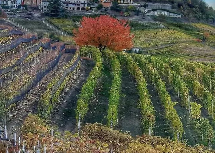 L'angolo Relax Appartement *